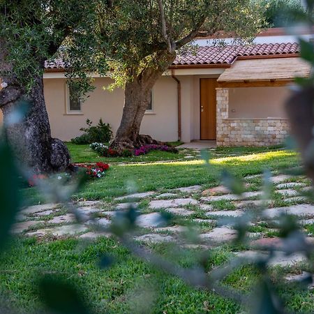 Il Mirto Residence Marina di Camerota Eksteriør billede
