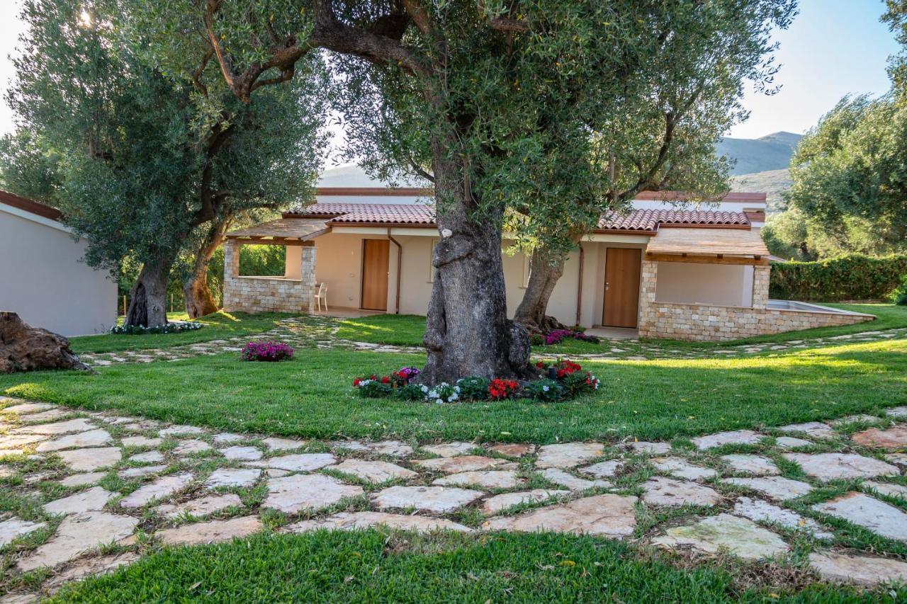 Il Mirto Residence Marina di Camerota Eksteriør billede