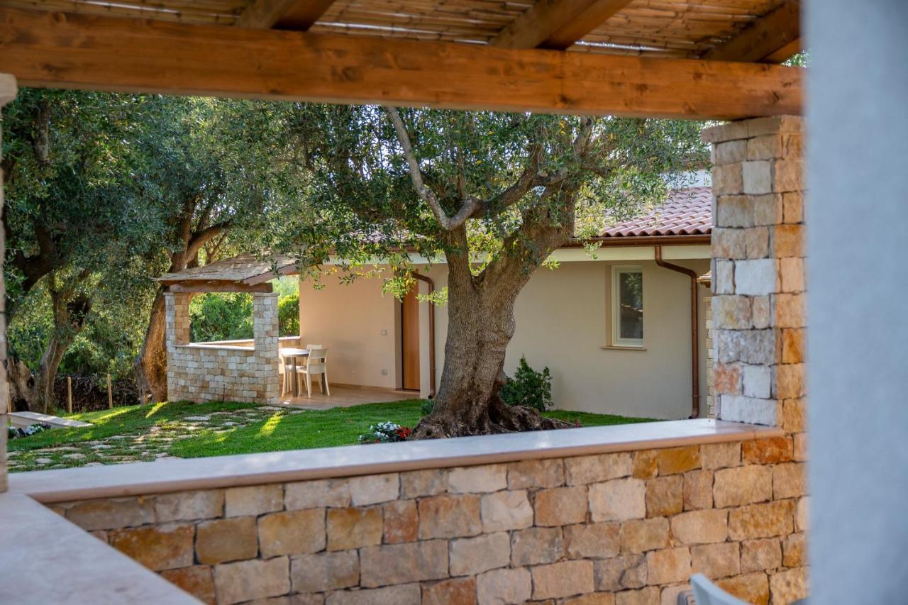 Il Mirto Residence Marina di Camerota Eksteriør billede