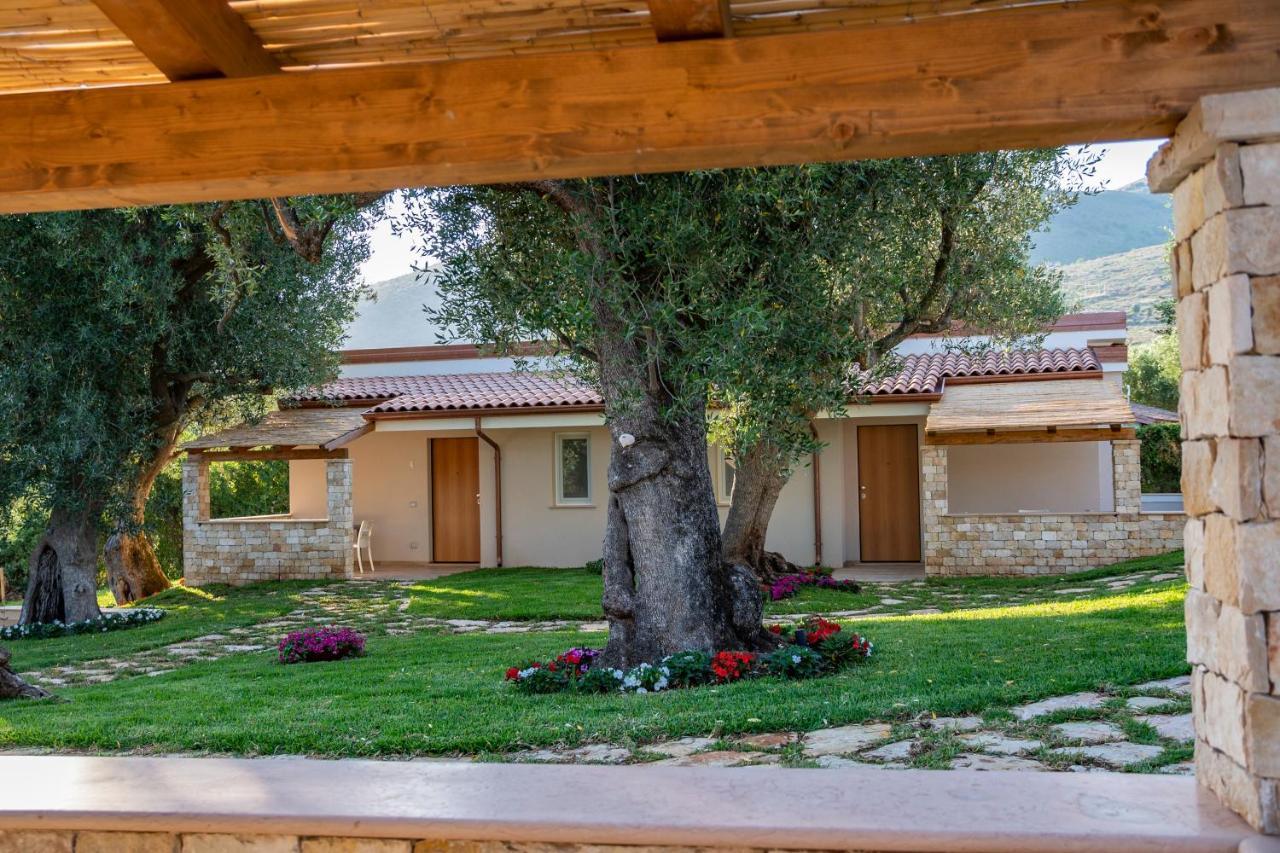 Il Mirto Residence Marina di Camerota Eksteriør billede