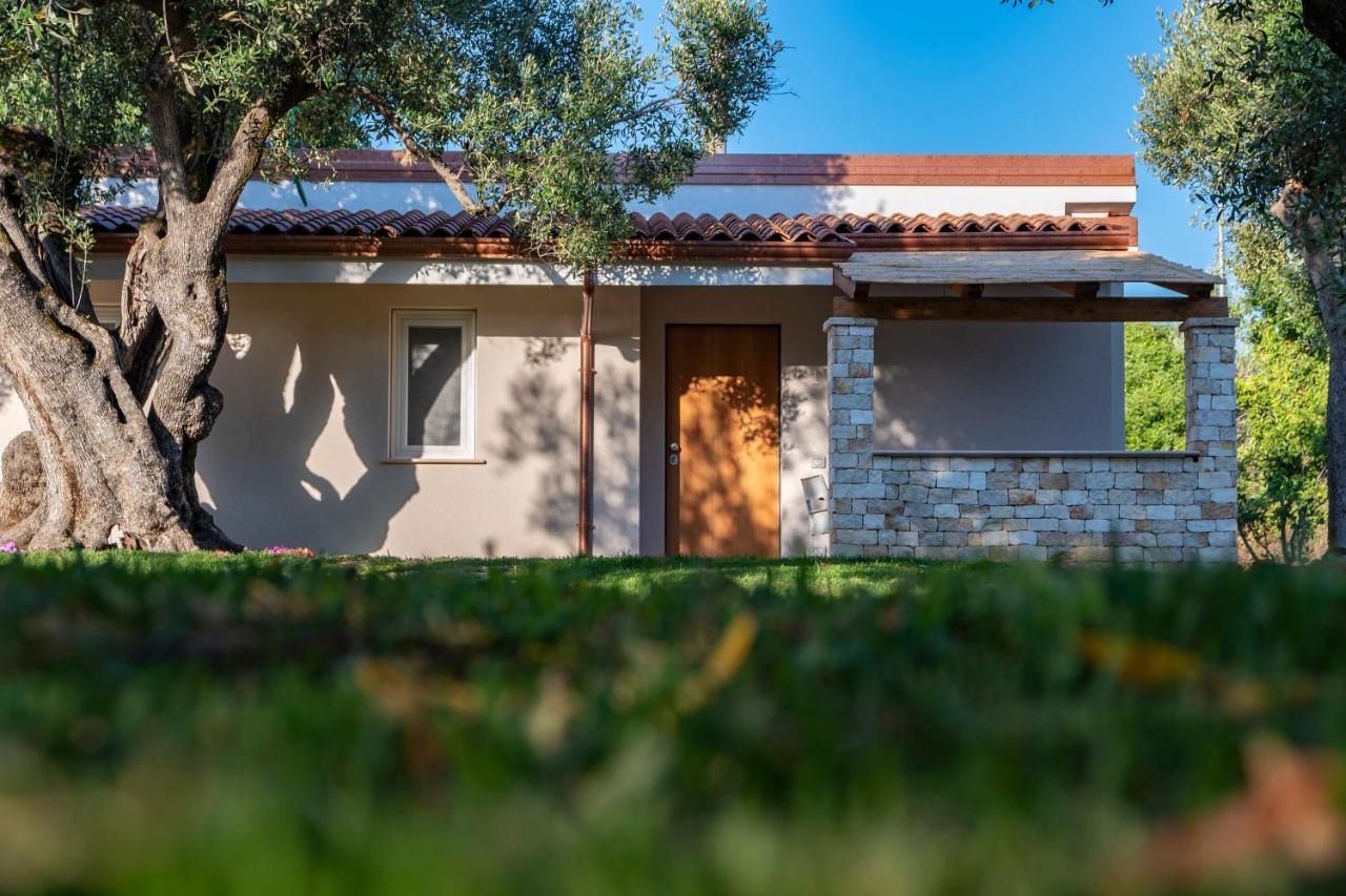 Il Mirto Residence Marina di Camerota Eksteriør billede