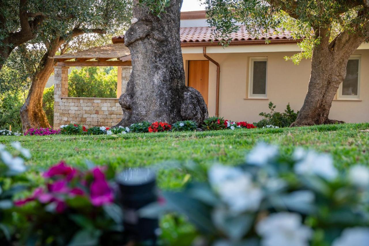 Il Mirto Residence Marina di Camerota Eksteriør billede