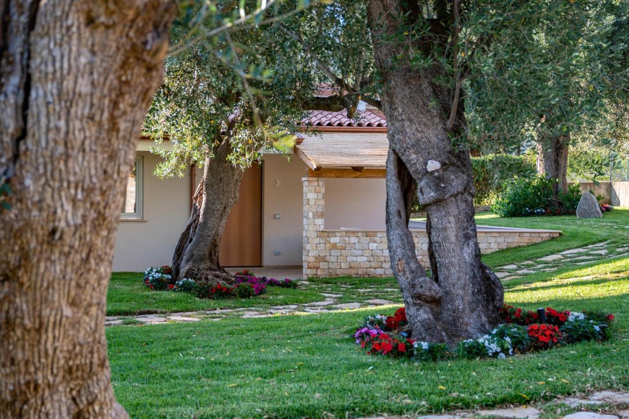 Il Mirto Residence Marina di Camerota Eksteriør billede