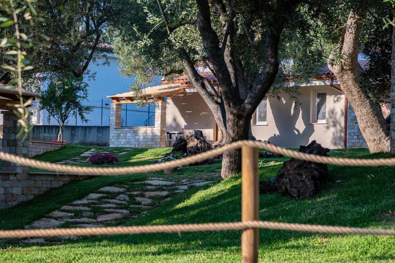 Il Mirto Residence Marina di Camerota Eksteriør billede