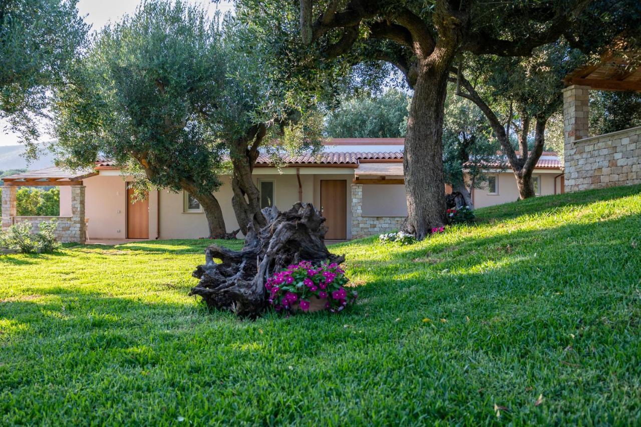 Il Mirto Residence Marina di Camerota Eksteriør billede