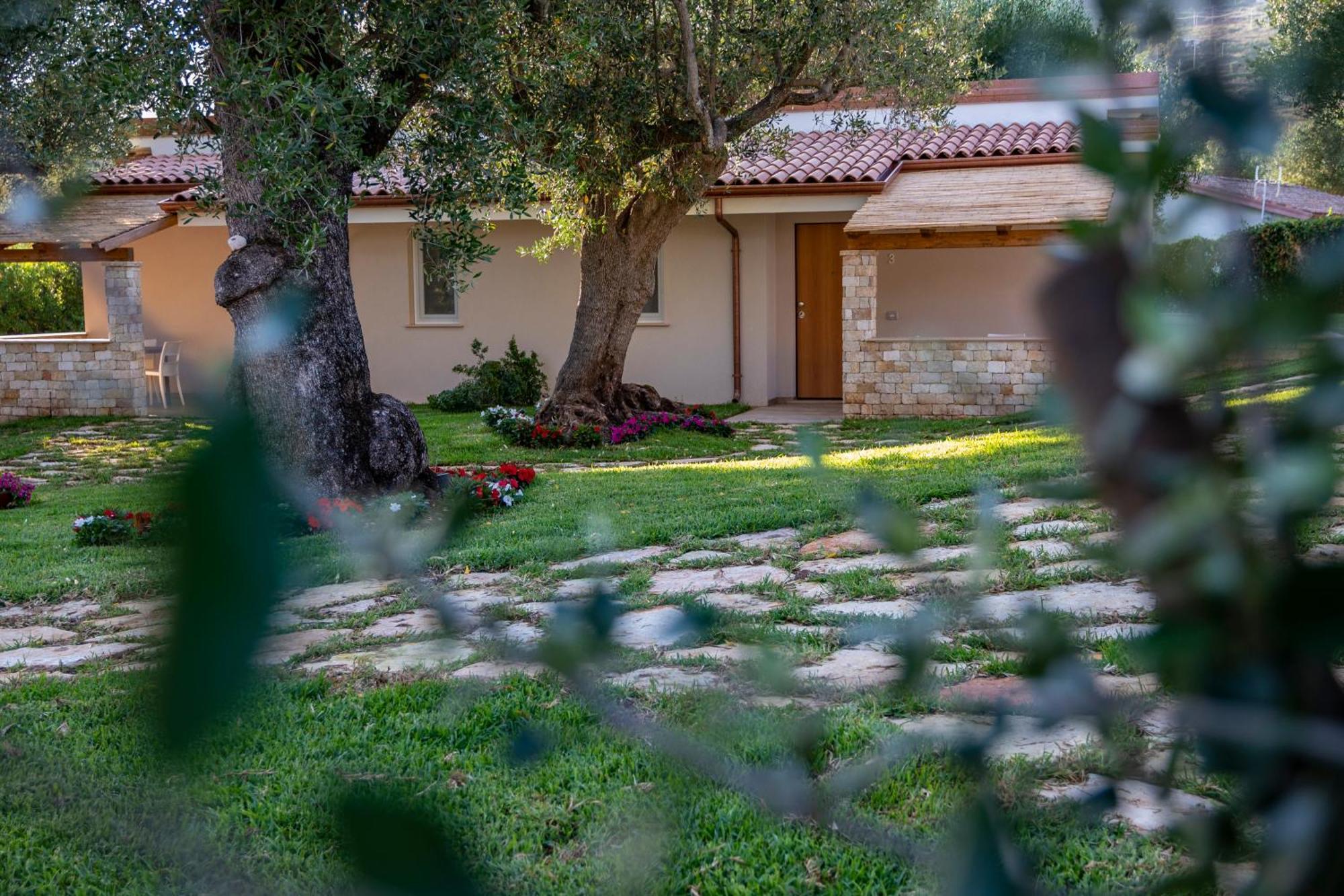 Il Mirto Residence Marina di Camerota Eksteriør billede