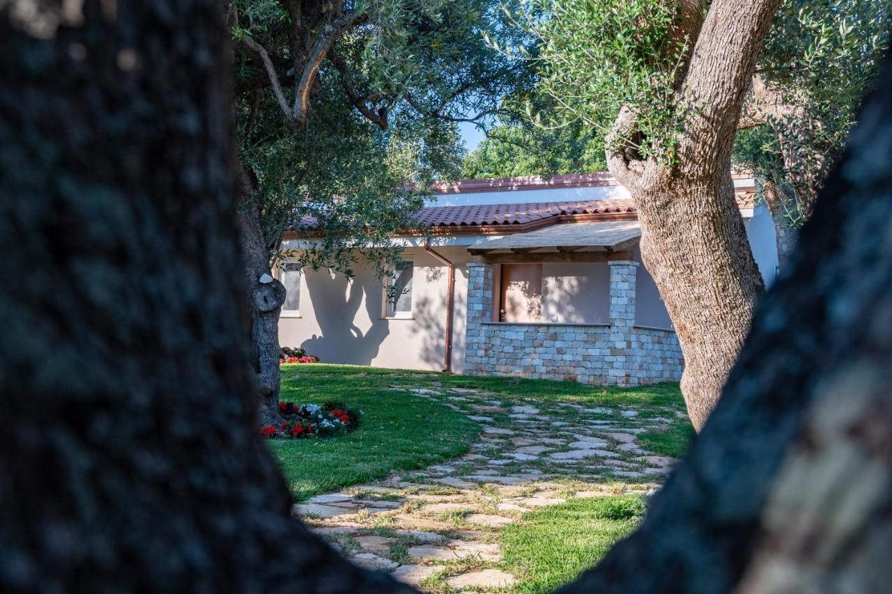 Il Mirto Residence Marina di Camerota Eksteriør billede