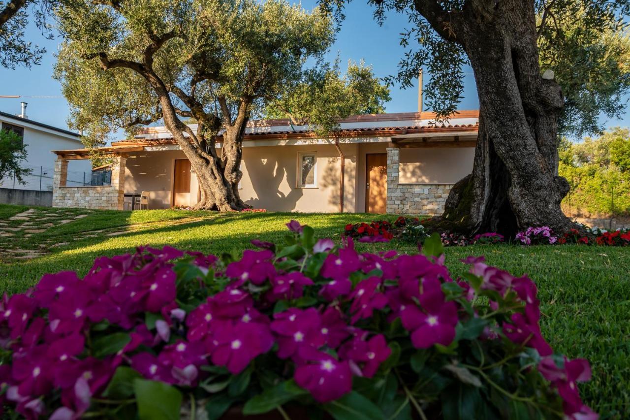 Il Mirto Residence Marina di Camerota Eksteriør billede