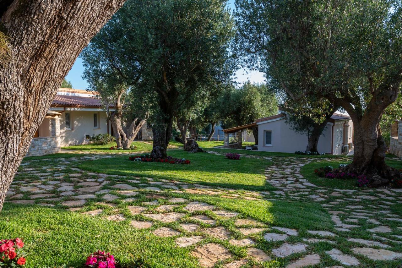 Il Mirto Residence Marina di Camerota Eksteriør billede