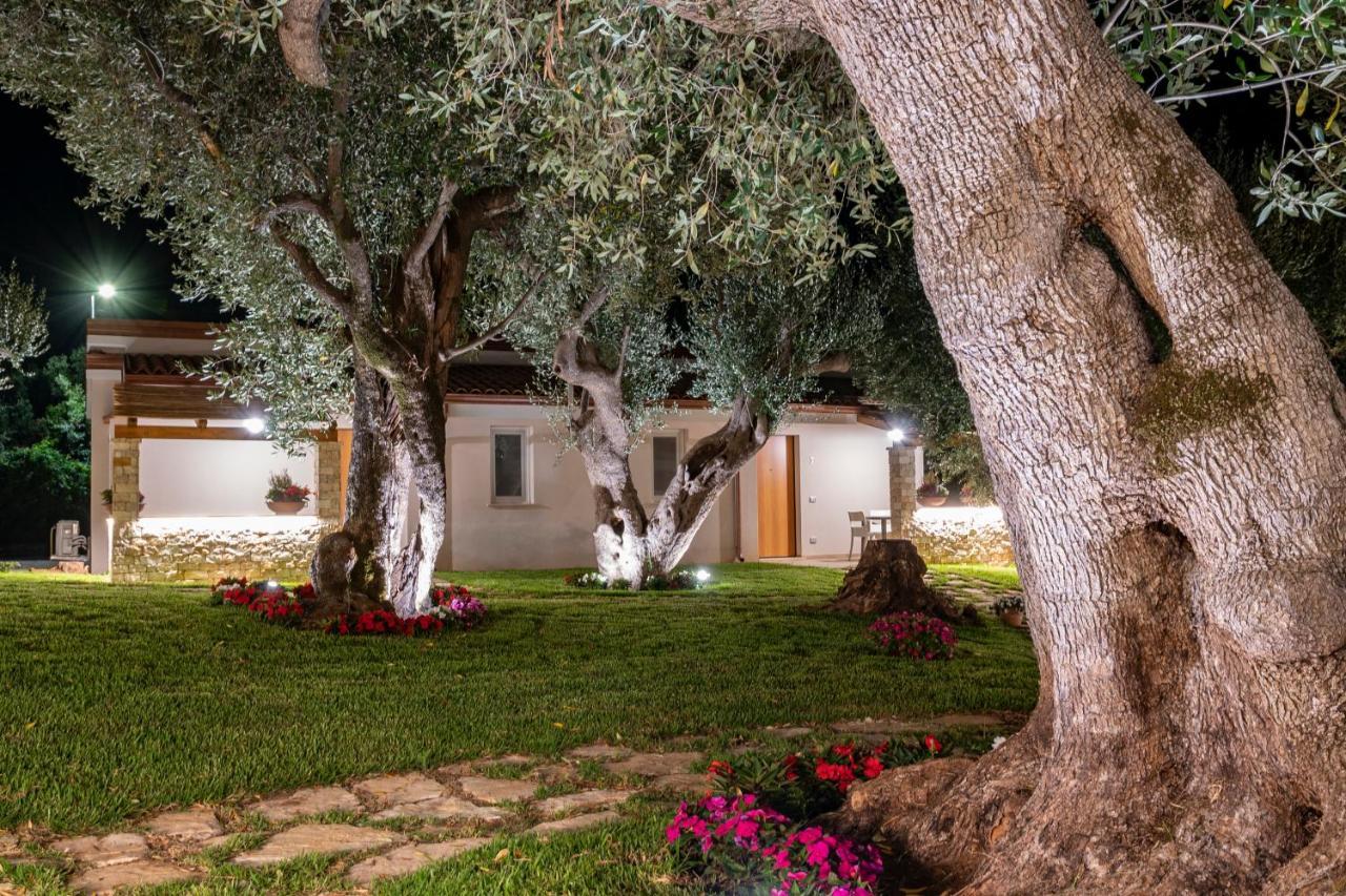 Il Mirto Residence Marina di Camerota Eksteriør billede